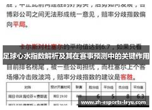 足球心水指数解析及其在赛事预测中的关键作用