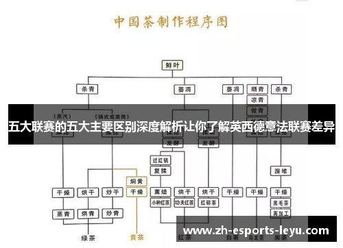 五大联赛的五大主要区别深度解析让你了解英西德意法联赛差异