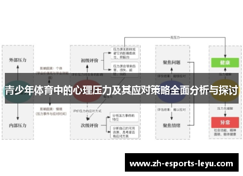 青少年体育中的心理压力及其应对策略全面分析与探讨