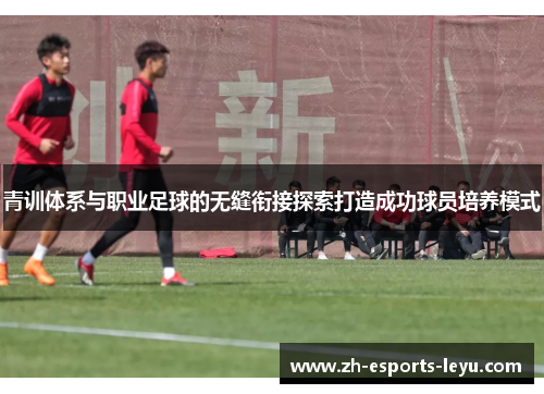 青训体系与职业足球的无缝衔接探索打造成功球员培养模式