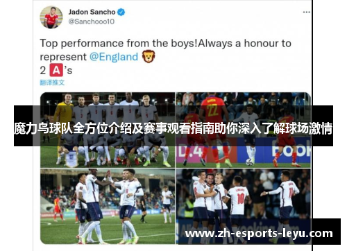 魔力鸟球队全方位介绍及赛事观看指南助你深入了解球场激情