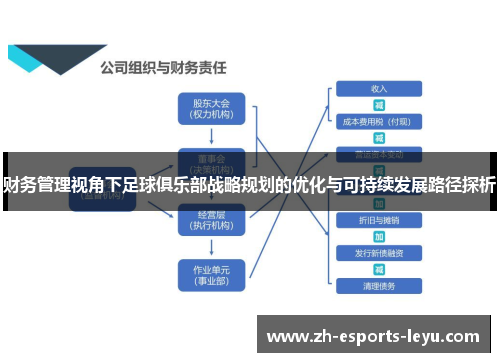 财务管理视角下足球俱乐部战略规划的优化与可持续发展路径探析