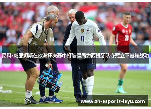 尼科·威廉姆斯在欧洲杯决赛中打破僵局为西班牙队夺冠立下赫赫战功